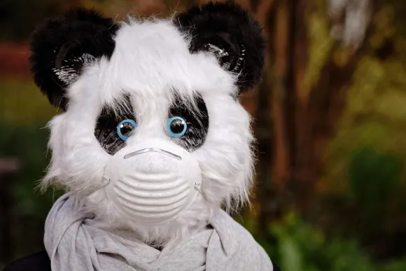 BetOriginal Casino Ënnerstëtzung